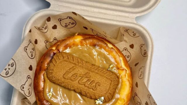 569165027_1453354009085302_7539356858952297445_n