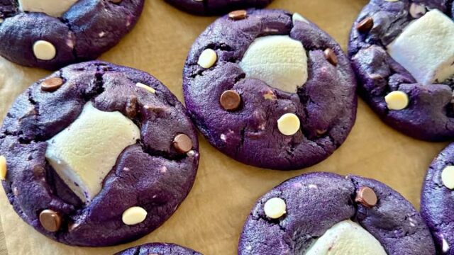 583322295_784171337984036_2601042289005733198_n