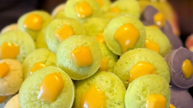 610606867_1249036270449511_6026222119447175820_n