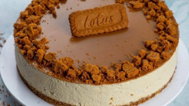 614590658_2620100345054056_7432309742274575500_n