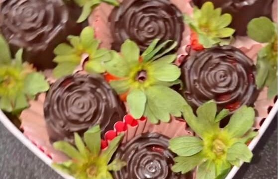 623520106_1319348990001174_8622652873251367743_n