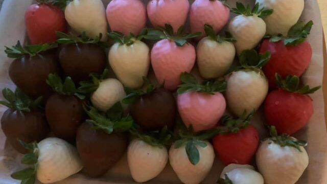 627515095_2387977461652865_8003360388946351991_n