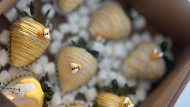 627542152_1946094532610713_7674116993286028741_n