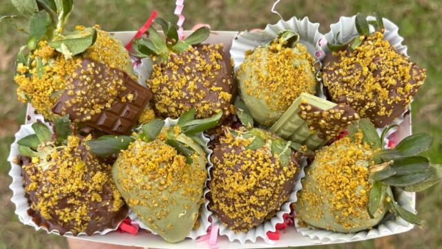 636768991_1195543442349508_7051585679007250746_n