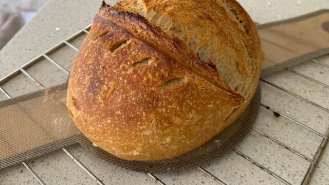 640175009_1223973483195751_8945666674458640049_n