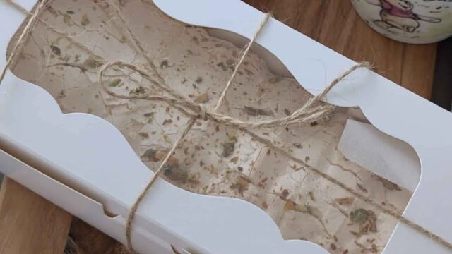 651278728_1629199218294872_8487185161257125177_n