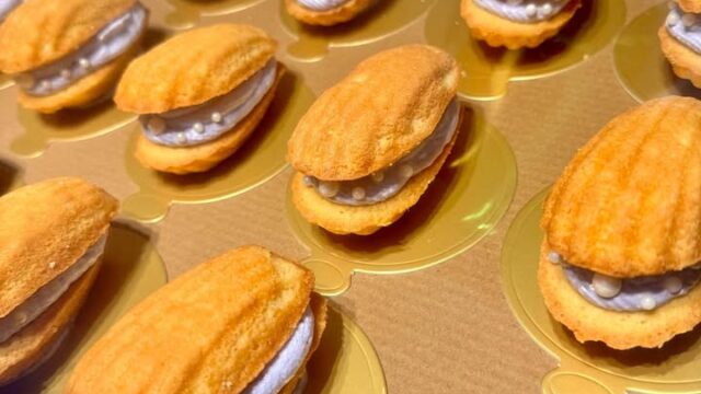 651816398_2305681906589062_7153108784497808688_n