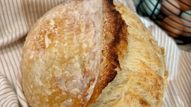 655090037_1422482429614808_5242050517033155714_n